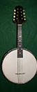 Gibson Banjolin