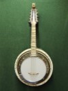 metjazz 310 banjolin